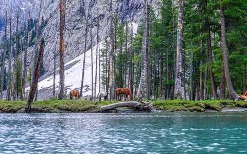 Mahodand-Lake-480x300